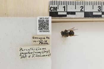 Media type: image;   Entomology 789342 Aspect: Labels